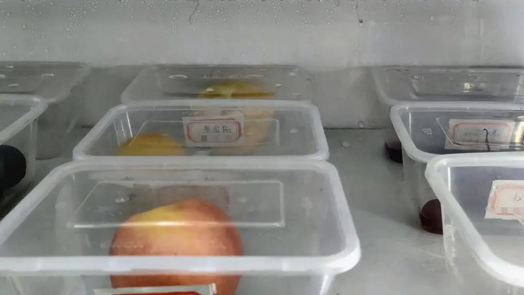 食堂飯菜出現異味，如何快速確定問題來源   